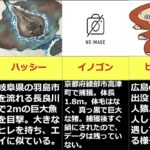 【UMA】日本を代表する未確認生物【まとめ】