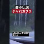 チュパカブラ　#都市伝説  #UMA #怖い話 #TikTok #Shorts