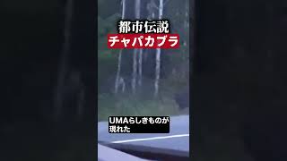 チュパカブラ　#都市伝説  #UMA #怖い話 #TikTok #Shorts