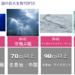 【衝撃】未確認生物UMA謎の巨大生物TOP10を調べたら思った以上に巨大すぎた件