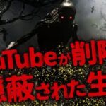 【ミステリー/未確認生物】YouTubeが…!? 何者かによって闇に葬られた未確認生物「ザ・レーク」