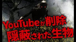 【ミステリー/未確認生物】YouTubeが…!? 何者かによって闇に葬られた未確認生物「ザ・レーク」