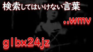 YouTubeに投稿された監○ビデオ？「..wmv」を調査する【都市伝説】