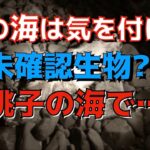 【閲覧注意】銚子のグロブスター【未確認生物】かっぱコレno.106