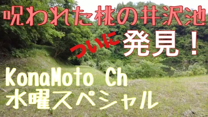 コレは心霊現象なのか⁉︎リベンジ！呪われた桃の井沢池に行ったけど、結局ここって心霊スポットなの？