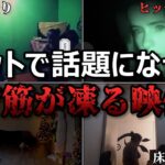 【恐怖&心霊映像】ネットで話題になった背筋が凍る映像５選【作業妨害】