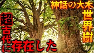 【都市伝説】超古代の神話の世界樹が実在…。世界に残る巨木の痕跡と巨木が存在する可能性がヤバい！