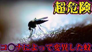この世で一番危険な生物は蚊、滅ぼさなければ外を歩けなくなる
