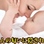 赤ちゃんの匂いを嗅ぐのをやめてください。