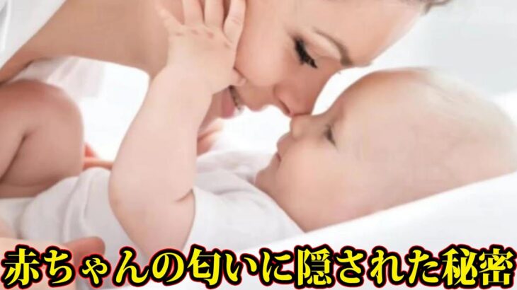 赤ちゃんの匂いを嗅ぐのをやめてください。