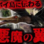 【ミステリー/未確認生物】葬式を襲撃し遺体を漁る…⁉︎ 南の楽園に棲む悪魔「ローペン」