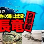 やはりいる！？世界各地の海に出没 首長竜目撃録