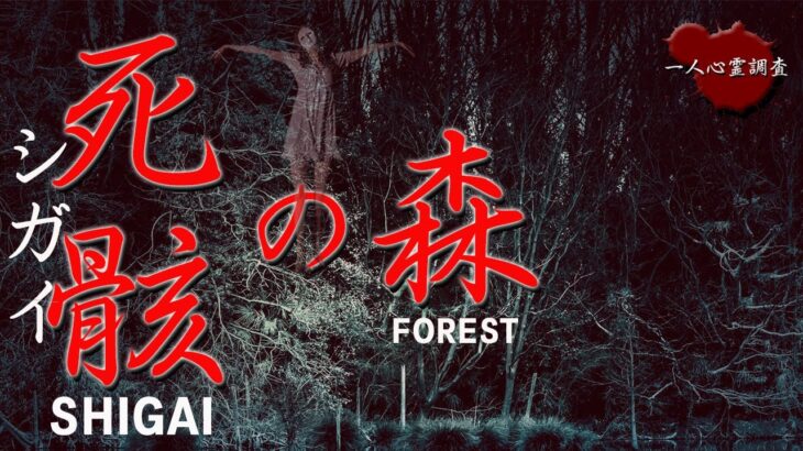【心霊】死骸の森で一人降霊術をやってみた動画【シガイの森】