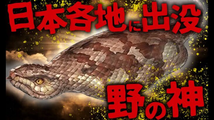 【ミステリー/未確認生物】正体判明⁉ 日本古来から伝わる幻の怪蛇「ツチノコ」