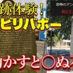 海外にある「動かすと○ぬ呪いの柱」は本当なのか？【都市伝説】