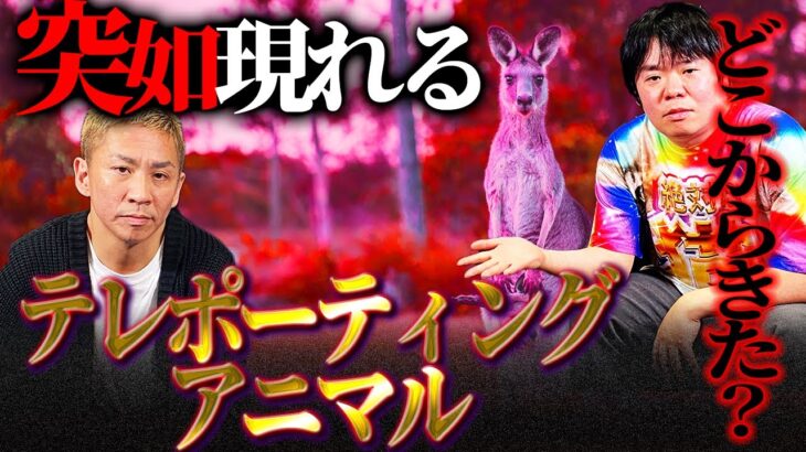 【都市伝説】各地で目撃情報多発！突如現れる動物たち／テレポーションアニマル【ナナフシギ】