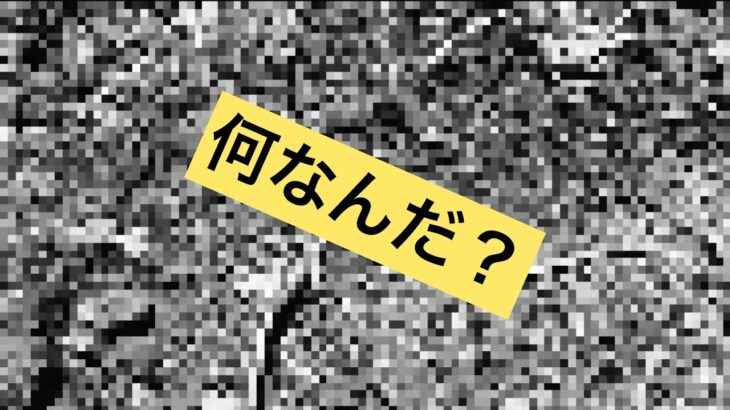 ＃熊本県　＃初心者農作業　【初めての農業】【農作業】　未確認生物！