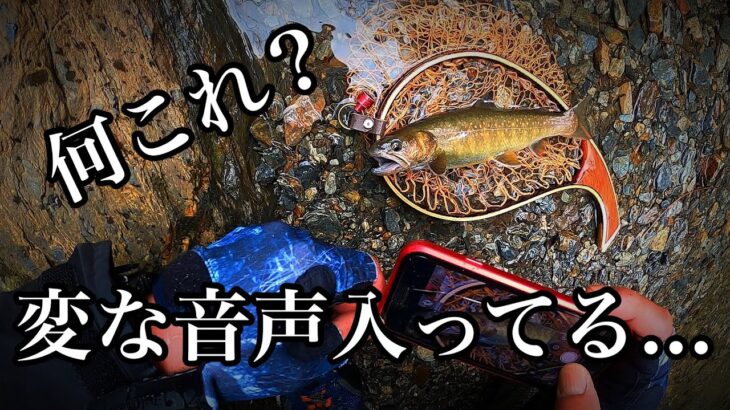 心霊現象？動物の鳴き声？人間の声？何だろこれ？動画に変な音声入り込んでた