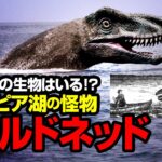 何かしらの生物はいる！？ ユートピア湖の怪物 オールドネッド