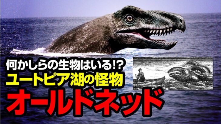 何かしらの生物はいる！？ ユートピア湖の怪物 オールドネッド