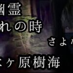 女幽霊と別れの時。青木ヶ原樹海で恐ろしい事が起こり衝撃的な結末に‥