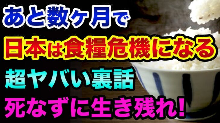 【悲報】あと数ヶ月で「日本は食糧危機になる」超ヤバい裏話。逆に中国が食糧を買い占めと肥料不足になった都市伝説がヤバい【 都市伝説 日経平均 食糧危機 値上げ グレートリセット 】