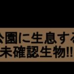 都会の公園に突如現れた謎の未確認生物！？野良○？