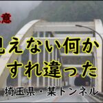 【閲覧注意】心霊現象⁉見えない何かとすれ違った