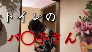 ※閲覧注意【トイレのバ◯子さん】　#事故物件  #怪奇現象