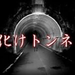 【心霊】霊障多発!!お化けトンネルに一人で入ってみたら….【秋月隧道】