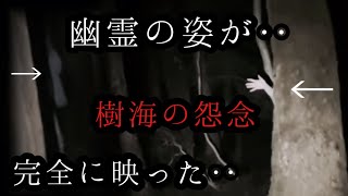 幽霊の姿が完全に映りました。取り憑かれた幽霊の正体が‥