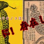 【未確認生物ツチノコ】［目撃者の再現動画］本当に！存在した！【１９８３年夏栃木県足利市】