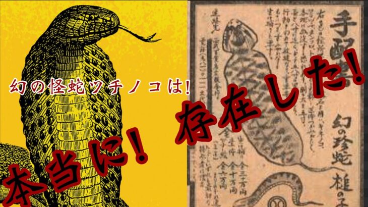 【未確認生物ツチノコ】［目撃者の再現動画］本当に！存在した！【１９８３年夏栃木県足利市】