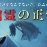 幽霊やポルターガイストの科学的な正体【心霊現象】