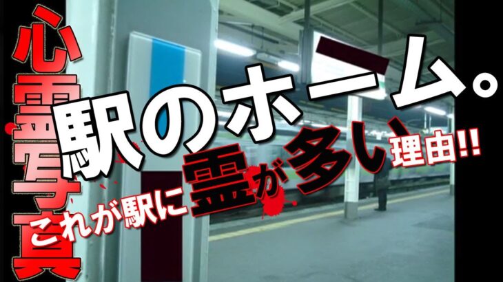 【心霊写真】始発から終電まで、沢山の人々を乗せて行きかう電車が必ず通る場所こそ〝駅〟である。何故霊が寄り憑くのか、心霊現象が起こるのか、恐怖の真実が写真1枚から恐怖と共に暴かれる。