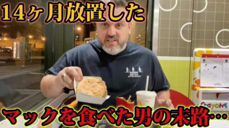 14ヶ月放置したマックを食べた漢の末路…