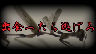 【ゆっくり解説】出会ったら逃げろ！謎の未確認生物1選【UMA】