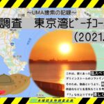 【未確認生物調査企画】現地調査　東京湾ﾋﾞｰﾁｺｰﾐﾝｸﾞ（2021.5.3）