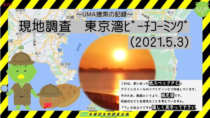 【未確認生物調査企画】現地調査　東京湾ﾋﾞｰﾁｺｰﾐﾝｸﾞ（2021.5.3）