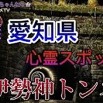 【心霊】愛知県・有名スポット旧伊勢神トンネル#4