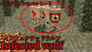 （マイクラ都市伝説66）ヘロブラインのペット…？Infected wolf（インフェクテッドウルフ）