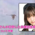 『AKB４８』坂口渚沙さんが目撃！！　 北海道の空を飛ぶドラゴン【未確認生物】