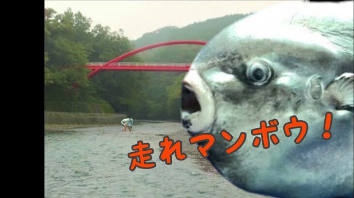 謎の生物。未確認生物。マンボウ。ものすごい速さで走る。#Shorts