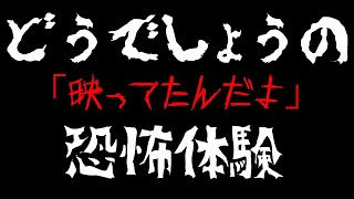 【四国の心霊現象の真実】水曜の切り抜きTV