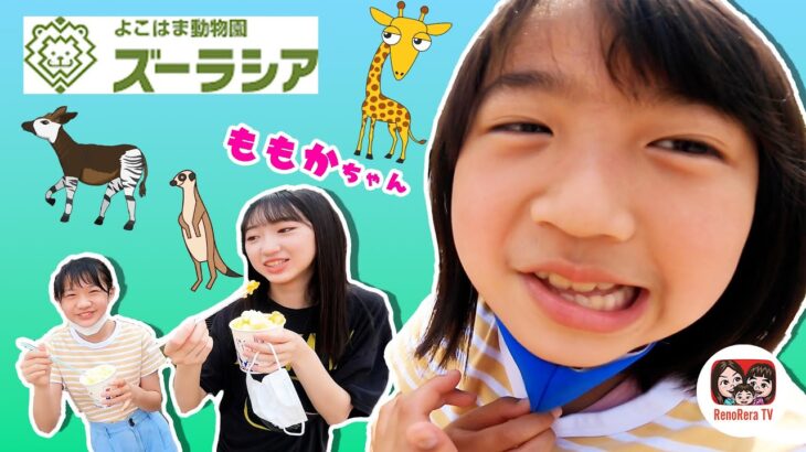 【よこはま動物園ズーラシア】ももかちゃんと都市伝説を確認しに行きました！ももかチャンネル × れのれらTV【#1835】