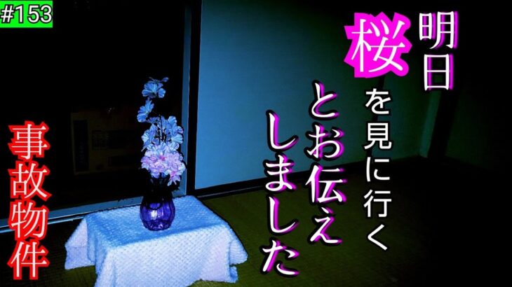 【事故物件】お別れの時…明日、桜を見に行くと伝えました【心霊スポット、ユーチューバー】心霊、住んでみた、日常、幽霊、オカルト、映像、怪奇現象、There are ghosts in my house