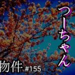 【事故物件】女性の幽霊さんが美しく成仏する瞬間【心霊スポット、ユーチューバー】心霊、住んでみた、There are ghosts in my house