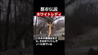 ホワイトレディ　#都市伝説  #怪談 #怖い話 #TikTok #Shorts 【ENG sub】