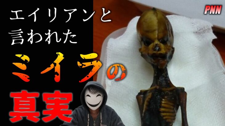 【未確認生物】UMA宇宙人だと思われていたミイラの真実