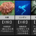 【UMA】有名な未確認生物ランキング